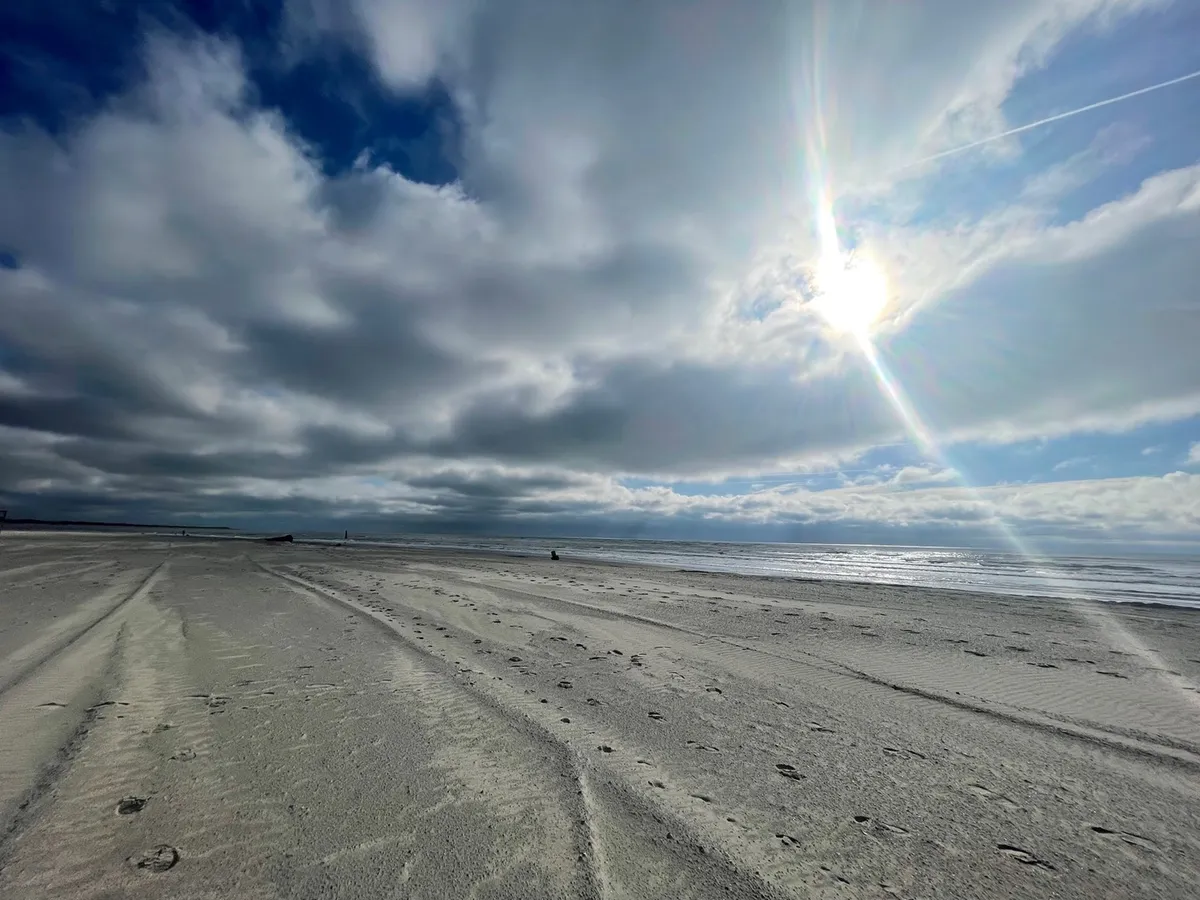 A serene beach scene featuring footprints in the sand, gentle ocean waves, distant figures enjoying the shore, and sunlight illuminating the clouds. The feeling is peaceful and explorative, with evidence of families enjoying morning walks and nature-watching.
